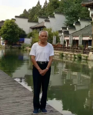 浙江舟山不老松P