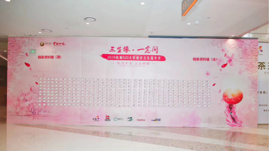 图为资料墙。 主办方供图
